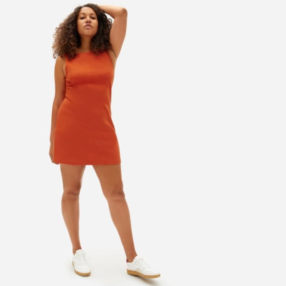 Everlane tank dress